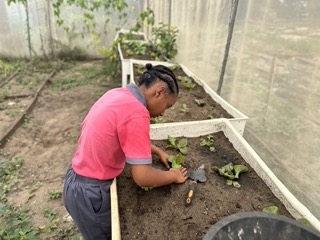 Agri